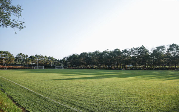 Sân tập ngoài trời của học viện bóng đá Hoàng Anh Gia Lai