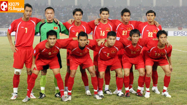 Đội tuyển Việt Nam tại kỳ AFF Cup 2007
