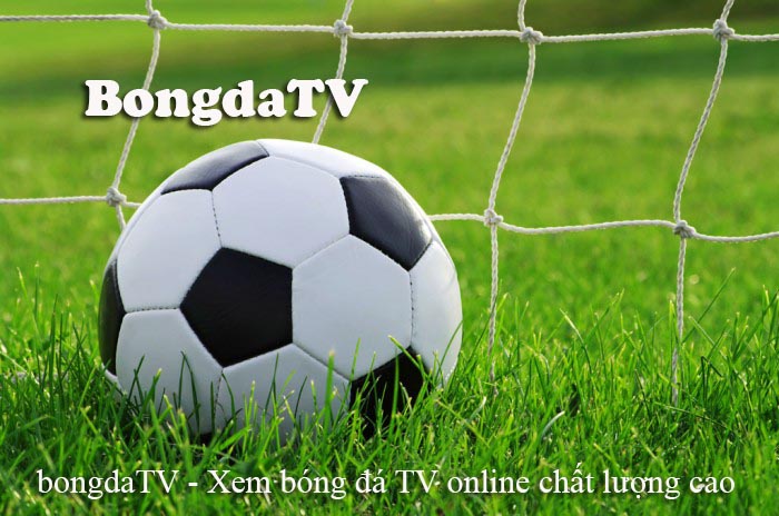 bongdaTV – Xem bóng đá TV online chất lượng cao